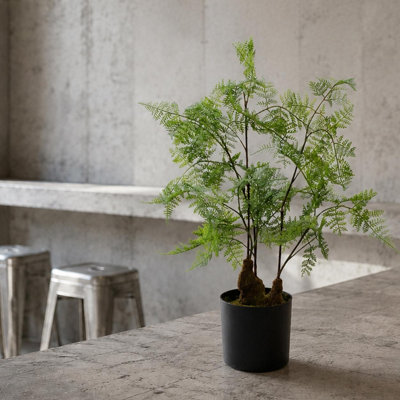 B&Q -  Artificial Natural Moss Base Fern Foliage Plant 60Cm