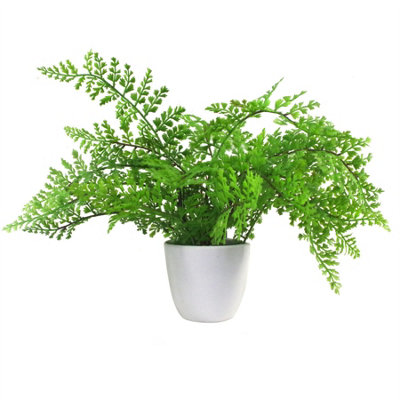 Blue Pirate White/Black Artificial Fern Plant Pot Royal Fern 30Cm Uk Plants - Image 8