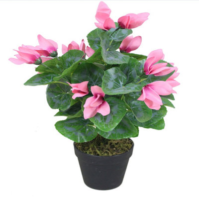 Leaf Artificial Pink Cylamen Green Pink 38Cm Plants from B&Q
