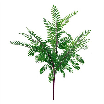 Leaf 55Cm Himilayan Maidenhair Fern Bush Dark Green Plant from B&Q