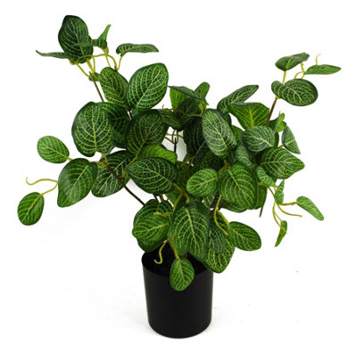 B&Q -  40Cm Artificial Variegated Pothos Plant - Image 6