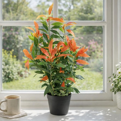80 cm H Faux Foliage and evergreen Plant in Plastic Pot Liner - Image 8