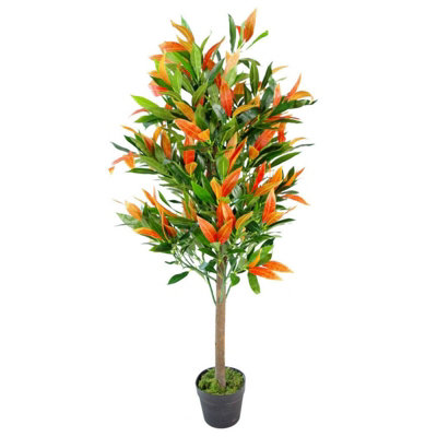 Leaf Red/Green Artificial Realistic Robin Artificial Ficus Tree Photinia 130Cm