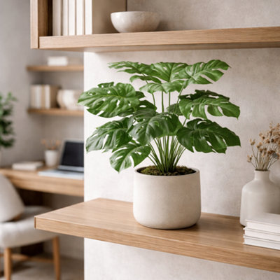 B&Q - 60Cm  Realistic Artificial Monstera Cheese Plant - Image 8