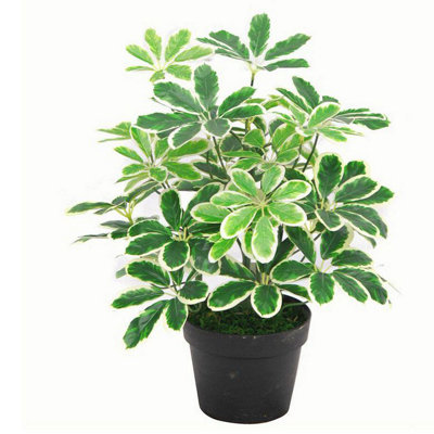 Leaf Schefflera Arboricola Artificial Plant 55cm - Image 8