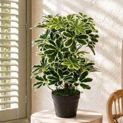 Leaf Artificial Arboricola Plant 55cm - Green Small Plant - Image 6