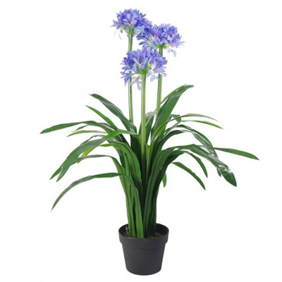 Leaf Blue Premium Artificial Agapanthus With Pot 90Cm