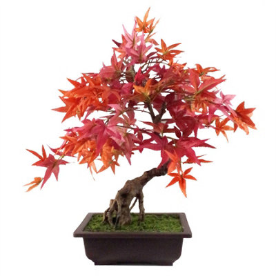 B&Q -  50Cm Artificial Red Maple Bonsai Tree