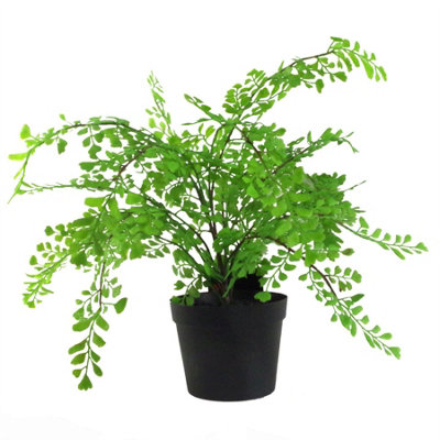 B&Q -  35Cm Artificial Potted Fern Plant (Southern Maidenhair Fern)