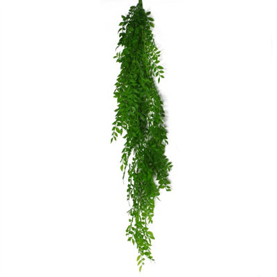 Leaf Artificial Hanging Plant 100Cm Pearls Fern from B&Q