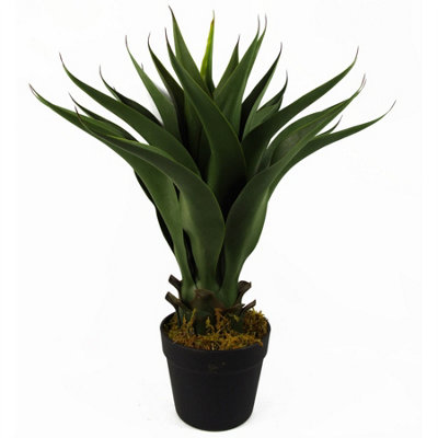 Leaf 55Cm Artificial Tropical Yucca Plant from B&Q