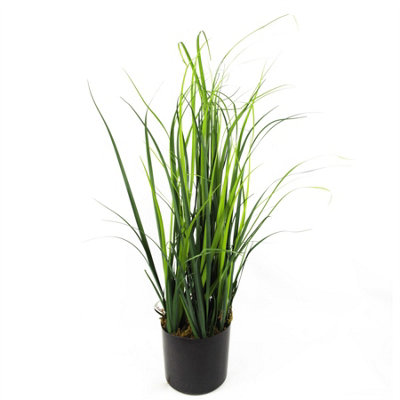 Leaf 60Cm Artificial Lemongrass Grass Plant Plants from B&Q