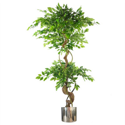 Leaf Silver Twisted Trunk Artificial Japanese Fruticosa Ficus Tree Planter 150Cm
