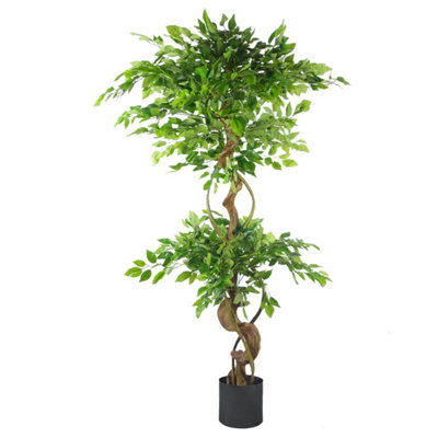 Leaf Black Twisted Trunk Artificial Japanese Fruticosa Ficus Tree Planter 150Cm