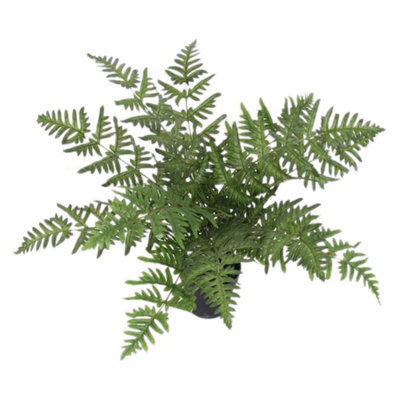 Leaf Luxury Artificial Evergreen Fern Plant 50Cm