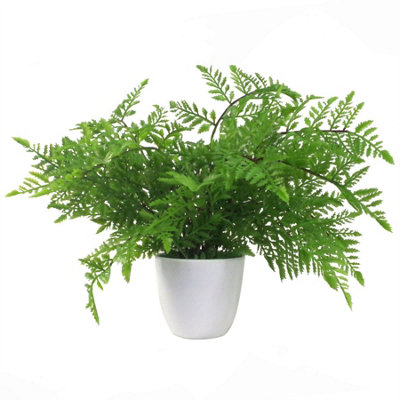 B&Q -  30Cm Artificial Potted Southern Wood Fern