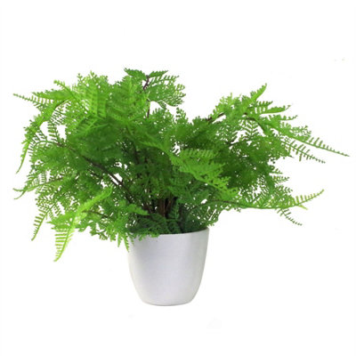 Leaf 30Cm Artificial Potted Lady Fern (Athyrium Filix-Femina) from B&Q