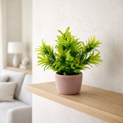 Leaf 22Cm Foliage Honey Plant In Terracotta Pot Light/Green