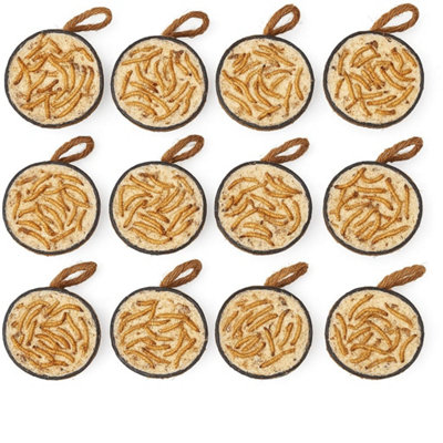 Garden Ting Mealworm Suet Coconut Halves Wild Bird Treat12 Pack from B&Q