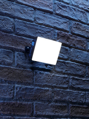 Auraglow Integrated Led Flood Light 4000K-Black-20W1650Lm-Standard On/off from B&Q