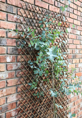 B&Q -  Expanding Willow Panel 180Cm X 60Cm Garden Flower Rose Trellis Support