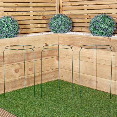 Samuel Alexander Pack Of 3 Tom Chambers Urban Metal Herbaceous Garden Plant Support Ring Medium 30Cm X 50Cm from B&Q