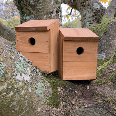 Selections Wooden Multi-Hole Wild Bird Classic Nest Box Birdhouse (Pack Of 2) from B&Q