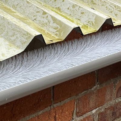 Selections 4M White Gutter Brush Leaf & Moss Guard from B&Q