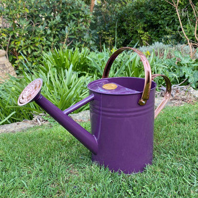 Selections Purple Heather Metal & Copper Watering Can (3.5 Litre) from B&Q