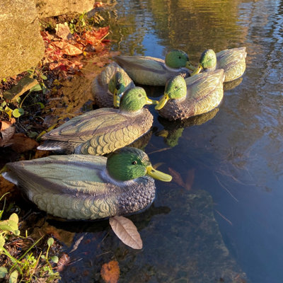 Garden Selections Mallard Duck Hunting Shooting Floating Decoy Pond Decoration Large (Set Of 6) from B&Q