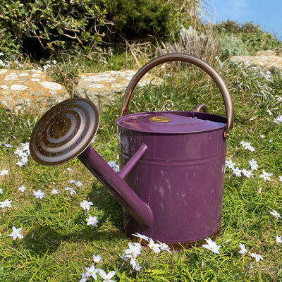 Selections Heritage Heather & Copper Metal Watering Can With Rose (9 Litre) from B&Q