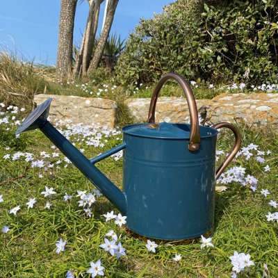 Selections Heritage Blue & Copper Metal Watering Can With Rose (9 Litre) from B&Q