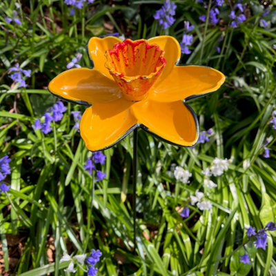 Selections Cast Iron Daffodil Bird Feeder Flower Dish from B&Q