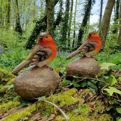 Selections Robin On A Stone Resin Garden Ornaments (Set Of 2) from B&Q