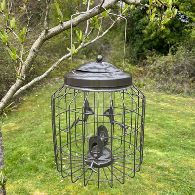 Selections Heavy Duty Squirrel Proof Hanging Bird Seed Feeder Cage from B&Q