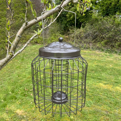 Selections Heavy Duty Squirrel Proof Hanging Bird Suet Fat Ball Feeder Cage from B&Q