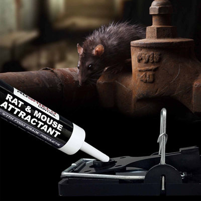 Roshield Bait Attractant Syringe 30Ml from B&Q