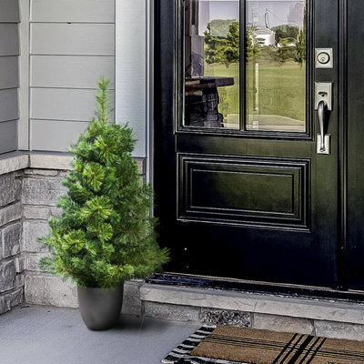 B&Q -  The 3Ft/90Cm Majestic Dew Pine Potted Tree (Outdoor)