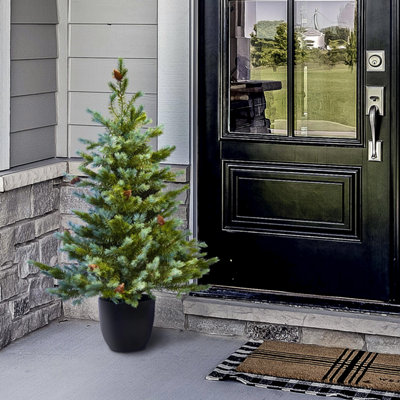 B&Q -  The 3Ft/90Cm Cairngorm Pine Potted Tree (Outdoor)