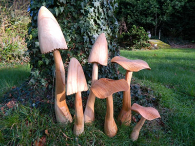 Set Of 6 Wooden Mushroom Toadstools 60Cm- 20Cm Closed Cup And Flat from B&Q