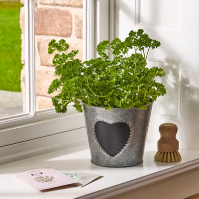 Dibor Vintage Zinc Love Heart Flower Indoor Outdoor Garden Planter Pot (H) 14Cm(Dia)15.5Cm from B&Q