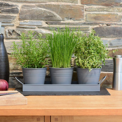 CKB LTD Set Of 3 Metal Herb Plant Pots With Saucer Tray Indoor Windowsill Kitchen Planter (Charcoal Grey) from B&Q