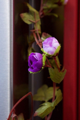 Best Artificial 7Ft Silk Purple Mini Rose Flower Garland Decoration from B&Q