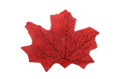Best Artificial Loose Autumn Halloween Maple Leaves For Crafts DecorationM1 from B&Q