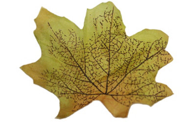 Best Artificial Loose Autumn Halloween Maple Leaves For Crafts DecorationM2 from B&Q