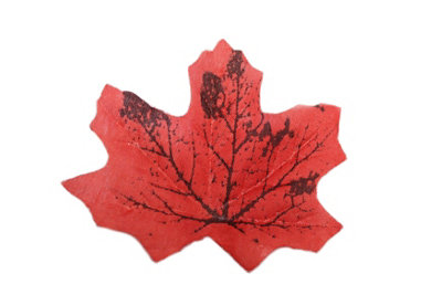 Best Artificial Loose Autumn Halloween Maple Leaves For Crafts DecorationM4 from B&Q