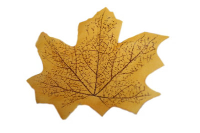 Best Artificial Loose Autumn Halloween Maple Leaves For Crafts DecorationM5 from B&Q