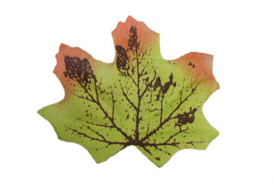 Best Artificial Loose Autumn Halloween Maple Leaves For Crafts DecorationM8 from B&Q