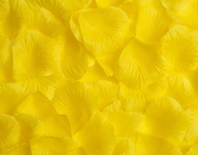 100 Best Artificial Yellow Silk Rose Petals For Wedding Valentines from B&Q