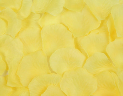Best Artificial Silk Rose Petals / Pale Yellow from B&Q